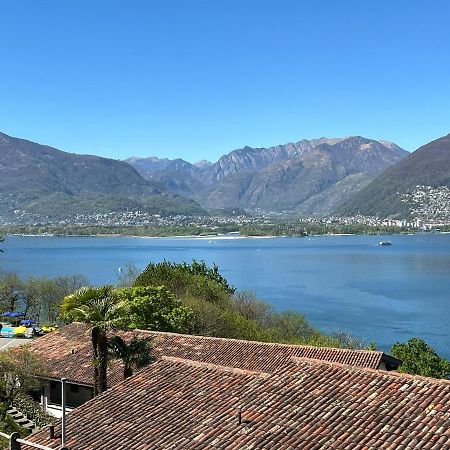 1 Zimmer Apartment Mit Seesicht Und Pool Gambarogno Exteriér fotografie