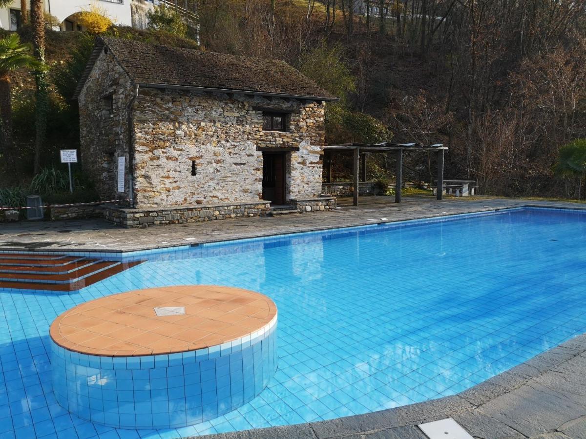 1 Zimmer Apartment Mit Seesicht Und Pool Gambarogno Exteriér fotografie