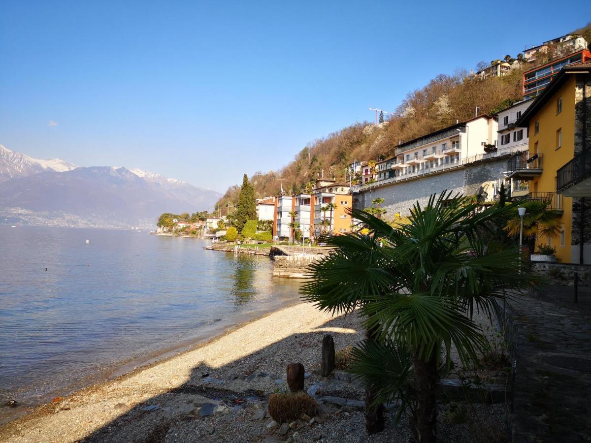 1 Zimmer Apartment Mit Seesicht Und Pool Gambarogno Exteriér fotografie